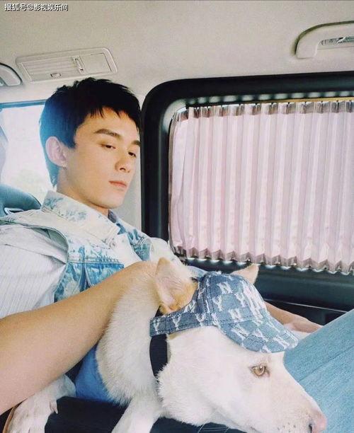 吴磊爆料感情视频大全最新,揭秘明星恋情背后的故事 第2张 吴磊爆料感情视频大全最新,揭秘明星恋情背后的故事 第2张